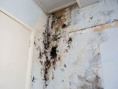 About Renew Water Damage & Restoration - water damage restoration experts in Wilsonville, AL
