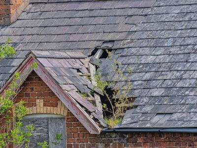 Professional water damage restoration services in Wilsonville, AL - Renew Water Damage & Restoration